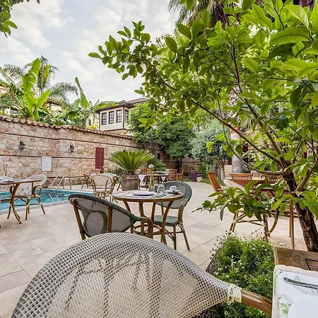 Kaucuk (adults Only)